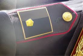 concorso interno per titoli ed esame a Vice Ispettori Polizia di Stato a 501