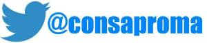 Twitter Consap Roma Social