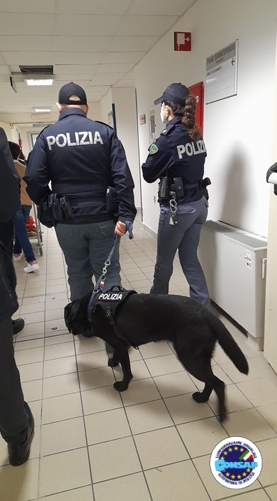 Consegna Calze Befana Ospedale San Camillo - CONSAP